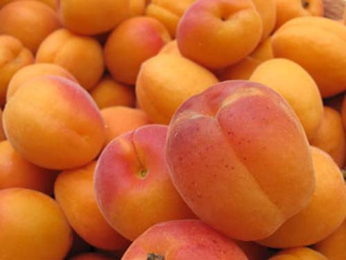 Как приготовить варенье из абрикосов